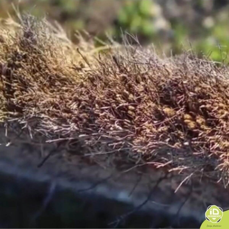 Clôture en brande de bruyère 8 cm d'épaisseur densité de 15 kg/m² - Epaisseur | ID Environnement