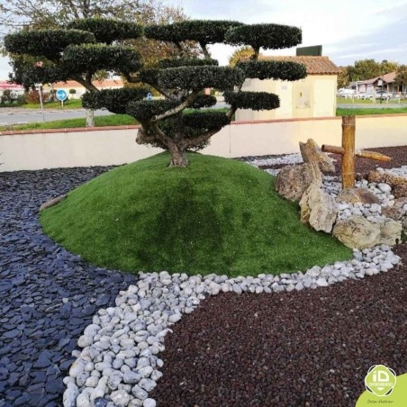 gazon-synthetique-arbre gazon-synthetique-arbre